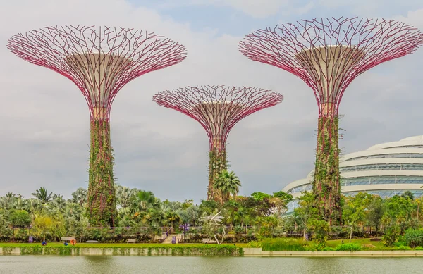 Singapore Supertrees — Stockfoto