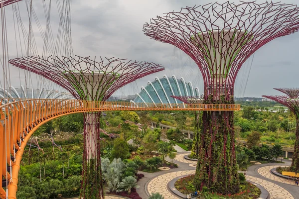 Singapore Supertrees — Stock Photo, Image