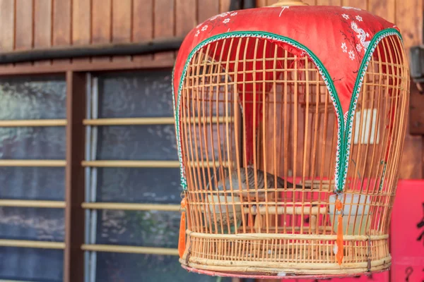 Dove in a birdcage — Stock Photo, Image