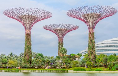 Körfezdeki Bahçelerde Singapur Supertrees