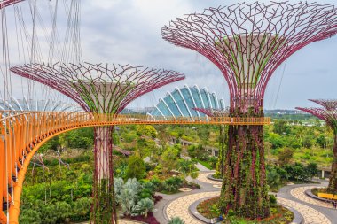 Körfezdeki Bahçelerde Singapur Supertrees