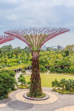 Körfezdeki Bahçelerde Singapur Supertrees
