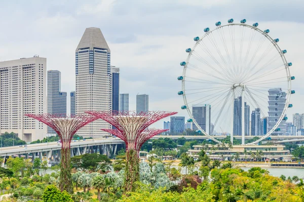 Singapore Supertrees and Flyer — Stock Photo, Image