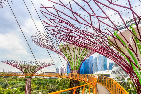 Singapur Supertrees w Ogrodach nad zatoką — Zdjęcie stockowe