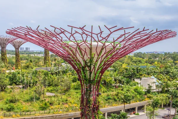 Singapur Supertrees w Ogrodach nad zatoką — Zdjęcie stockowe