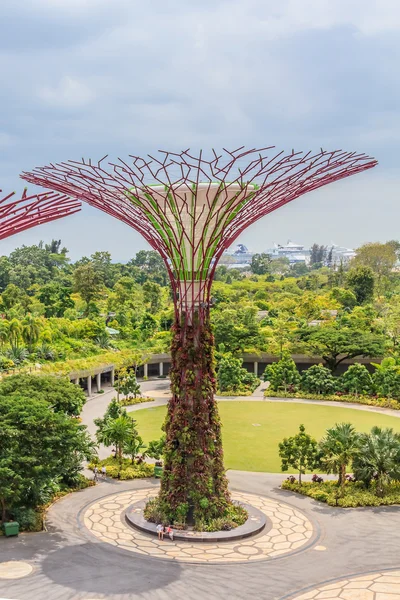 Singapore Supertrees bij de Gardens by the Bay — Stockfoto