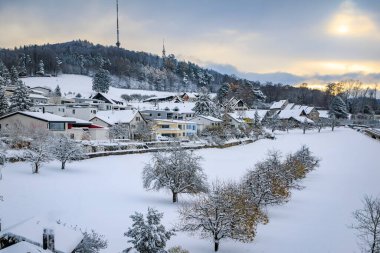İsviçre, Waldegg 'deki Uetliberg dağının kenarındaki evleri ve üzümleri kaplayan kar, Zürih yakınlarındaki taze kar yağışından sonra kış harikalar diyarı.