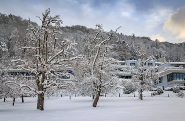 İsviçre, Waldegg 'deki Uetliberg dağının kenarındaki evleri ve üzümleri kaplayan kar, Zürih yakınlarındaki taze kar yağışından sonra kış harikalar diyarı.