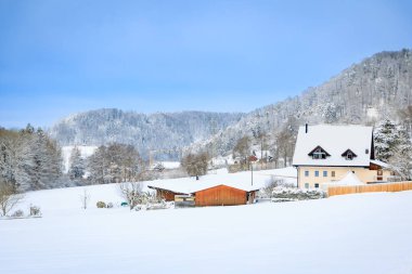 Kış harikalar diyarı, karla kaplı vadi Aumuli köyü, Stallikon, İsviçre, Zürih yakınlarında taze bir kar yağışı sonrası sabah ormanı.