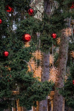İsviçre 'deki Bern Noel Pazarı' nda sihirli bir tatil sahnesi, parıldayan ışıklar ve süslü dağ evleri, bulanık bokeh