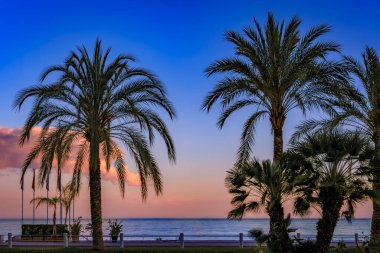 Akdeniz 'deki Gezinti Güvertesi, Fransa' nın güneyindeki Fransız Riviera 'sı boyunca palmiye ağaçları ve plajları olan güzel sahil manzarası.