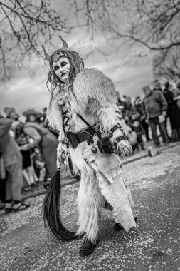 Zug, İsviçre - 1 Mart 2025: Tschaggatta, tüylü canavar kostümü giymiş biri İsviçre kış karnavalı Fasnacht geçit töreninde boynuzlu ahşap maske takıyor.