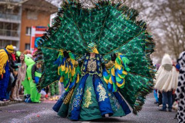 Zug, İsviçre - 1 Mart 2025: Tavus kuşu kostümlü ve maskeli sanatçı tarihi kentte Fasnacht kış karnavalı geçit törenini kutluyor
