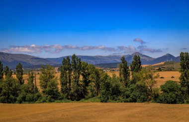 İspanya 'nın Navarre kentindeki Berriosuso köyüne yakın dağ zirveleri olan mavi gökyüzünün altında yeşil ağaçlar ve altın tarım arazileri olan kırsal bölge.