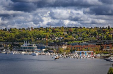 Lüks yatlar ve tekneler, Lake Union 'un sakin sularında Seattle, Washington, ABD' de orman yamacı ve konut binaları olan marina rıhtımında.