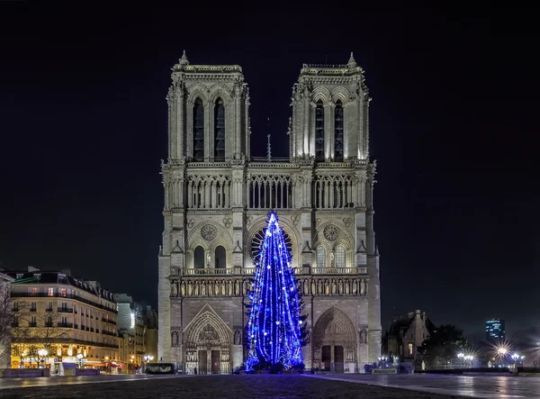 Christmas tree at Notre Dame de Paris — Stock Photo, Image