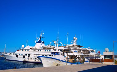 Denia marina Alicante İspanya Akdeniz limanda