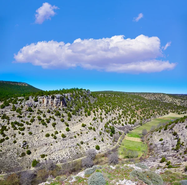 Moscardon Canadá de La Sierra Albarracin em Teruel — Fotografia de Stock