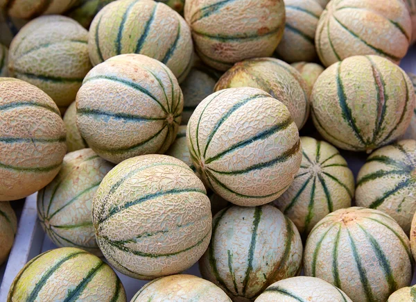 Cantaloupe meloenen op de markt — Stockfoto