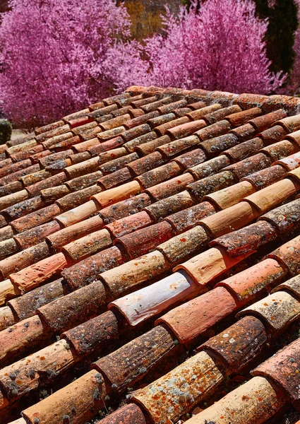 Arabic roof tiles pattern texture in Teruel Spain — Stock Photo, Image