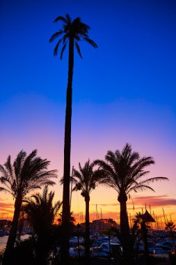 Marina deniz araçları Akdeniz İspanya Denia günbatımı