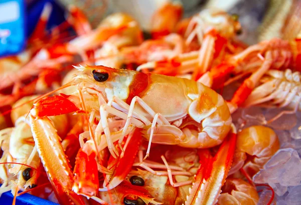 Lagostins do mar Mediterrâneo no mercado de peixe Javea — Fotografia de Stock