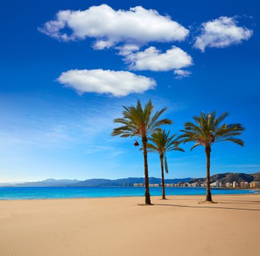 Cullera Playa los Olivos Valencia İspanya plaj