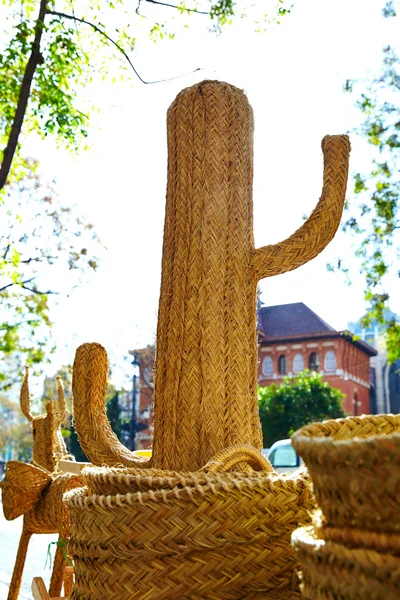 Valencia esparto handcraft baskets and cactus — Stock Photo, Image