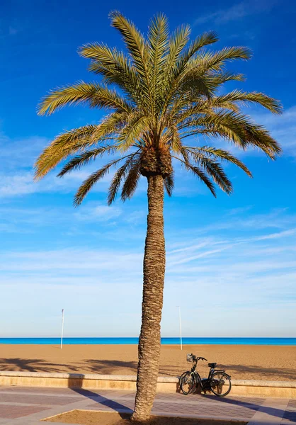 Valencia La Malvarrosa palme da spiaggia Spagna — Foto Stock