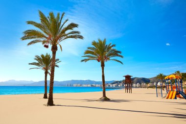 Cullera Playa los Olivos Valencia İspanya plaj