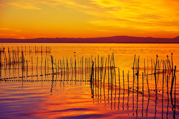 Puesta de sol en el lago La Albufera en El Saler de Valencia —  Fotos de Stock