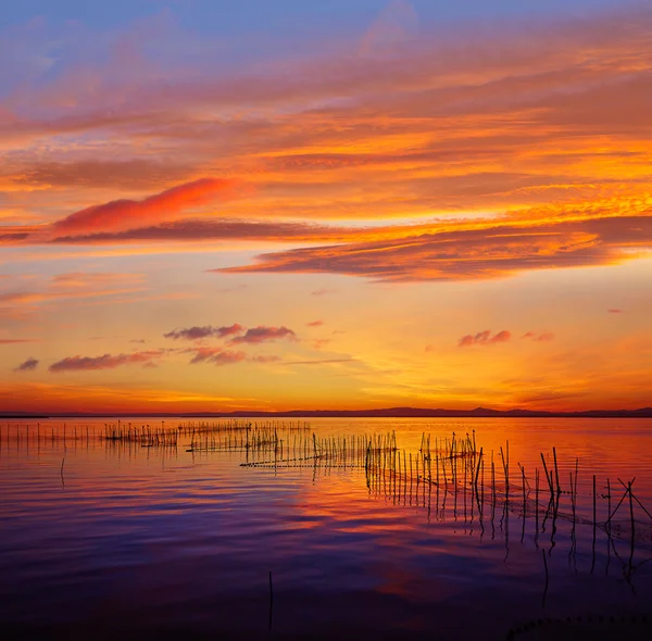 Puesta de sol en el lago La Albufera en El Saler de Valencia —  Fotos de Stock