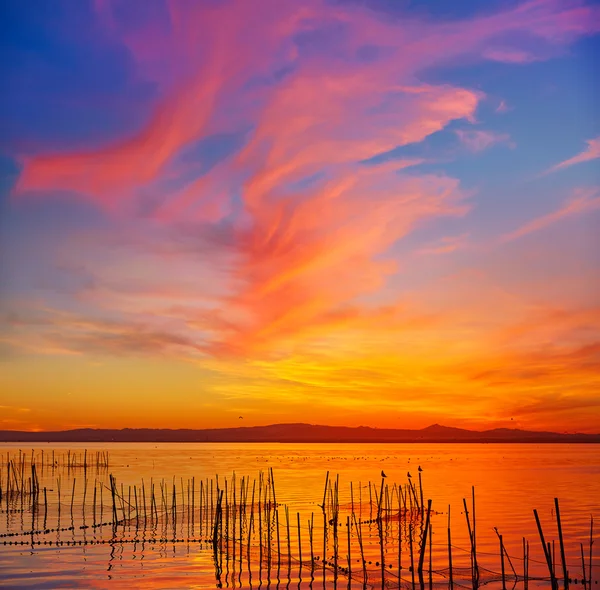 Захід сонця озера La Albufera в місті El Saler з Valencia — стокове фото