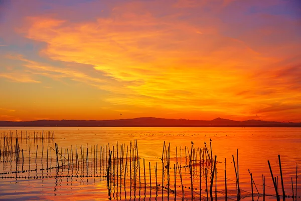 Puesta de sol en el lago La Albufera en El Saler de Valencia — Foto de Stock