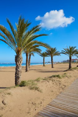 Alicante Denia beach Las marinalar ile palmiye ağaçları