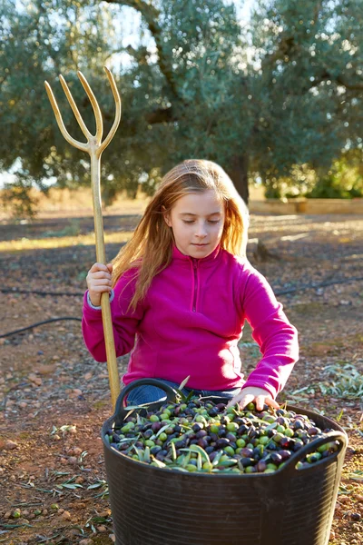 Olivos cosecha granjero niña recogiendo — Foto de Stock