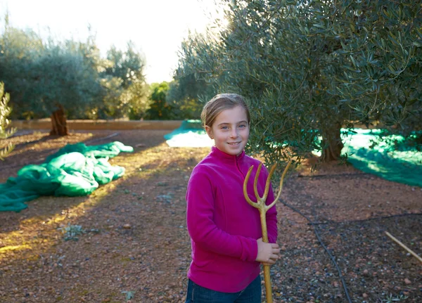Olives harvest farmer kid girl picking — Stock Photo, Image