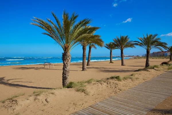 Denia beach las marinas mit palmen alicante — Stockfoto