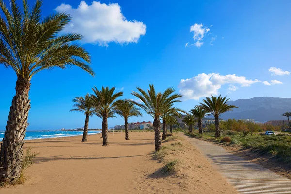 Denia plaży Las Marinas z palmowego drzewa Alicante — Zdjęcie stockowe