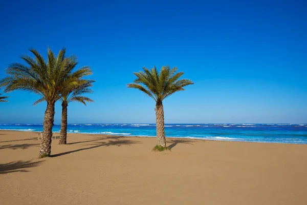 Denia stranden Las Marinas med palm träd Alicante — Stockfoto