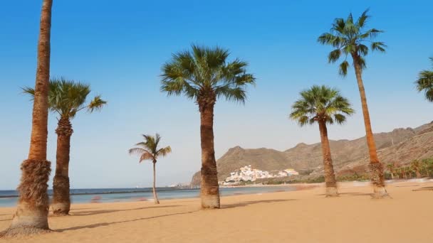 Beach Las Teresitas in Santa cruz de Tenerife  at Canary Islands — Stock Video