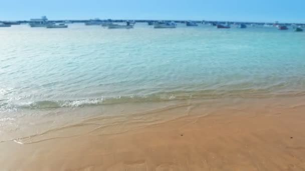 Beach Las Teresitas in Santa cruz de Tenerife  at Canary Islands — Stock Video