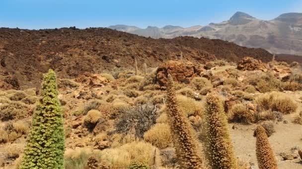 Parque Nacional del Teide en Tenerife en las Islas Canarias — Vídeos de Stock