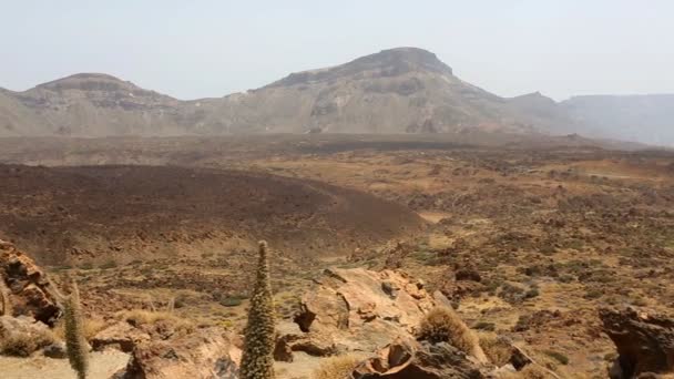 Parque Nacional del Teide en Tenerife en las Islas Canarias — Vídeos de Stock