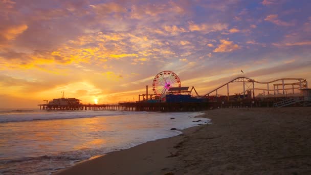 Santa Monica California sunset on Pier Ferris wheel and reflection on beach — Stock Video