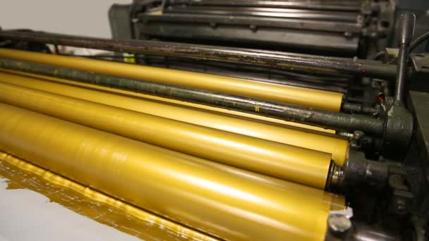 Golden ink printer rollers offset industry — Stock Video