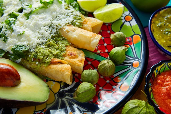 Green enchiladas Mexican food with guacamole — Stock Image Green enchiladas Mexican food with guacamole Stock Photo