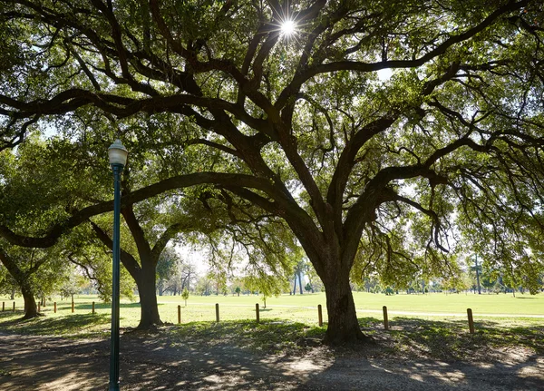 Parco di Houston Hermann sentiero Marvin Taylor — Foto Stock