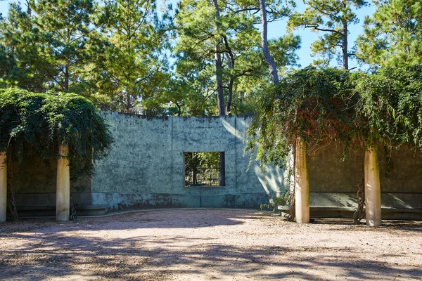 Conservación del parque Houston Hermann — Foto de Stock