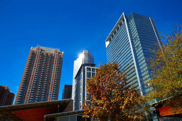 Houston Discovery green park in Texas — Stock Photo, Image